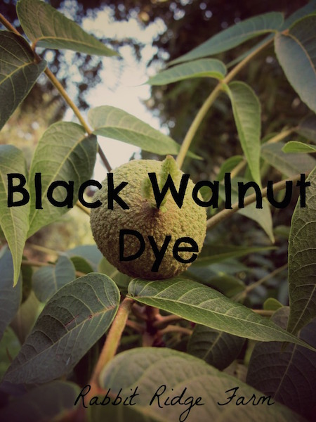 Black Walnut Dye