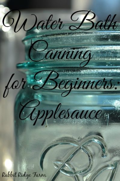 Water Bath Canning for Beginners: Applesauce