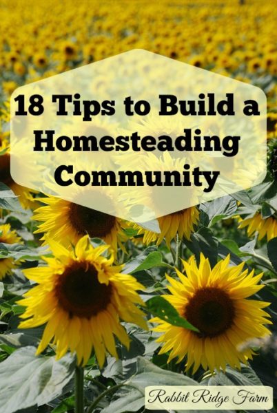 18 Tips to Build a Homesteading Community