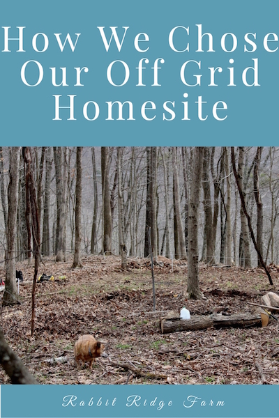 How We Chose Our Off Grid Homesite