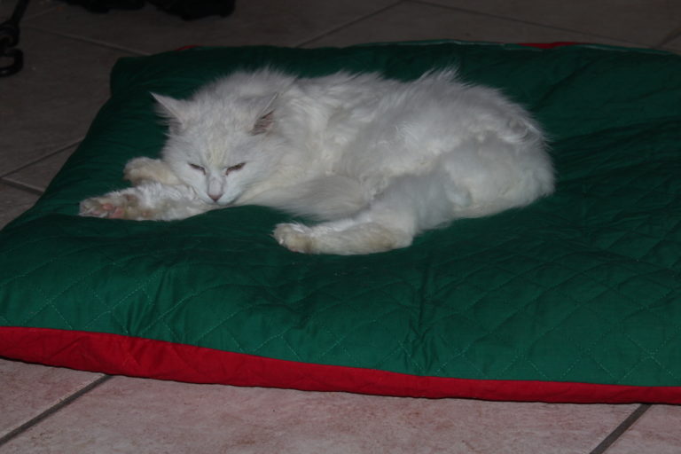 Huge List of Ways to Reduce Your Plastic Consumption and Waste