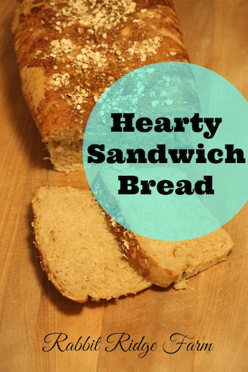 Hearty Vegan Sandwich Bread