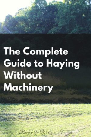 The Complete Guide to Haying Without Machinery